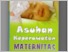 [thumbnail of buku keperawatan maternitas lengkap.pdf]